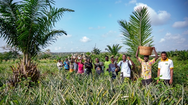 Brio, il Covid non ferma l’Ananas Dolcetto bilancio positivo per il primo anno del progetto di cooperazione internazionale per lo sviluppo della filiera in Togo